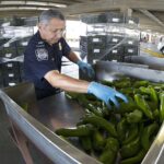 ¿Cómo saber tu talla de brasier?